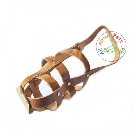 Leather Dog Muzzle For Large Dogs available at allaboutpets.pk in Pakistan