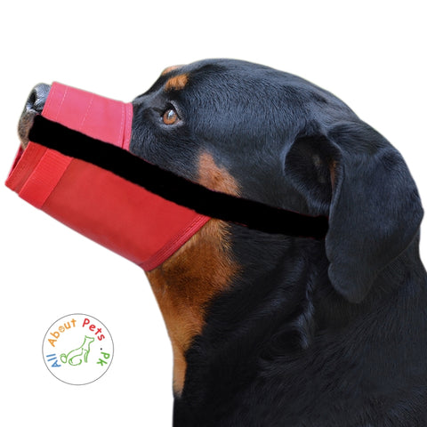 Image of Nylon Dog Muzzle red and black available at allaboutpets.pk  in pakistan.