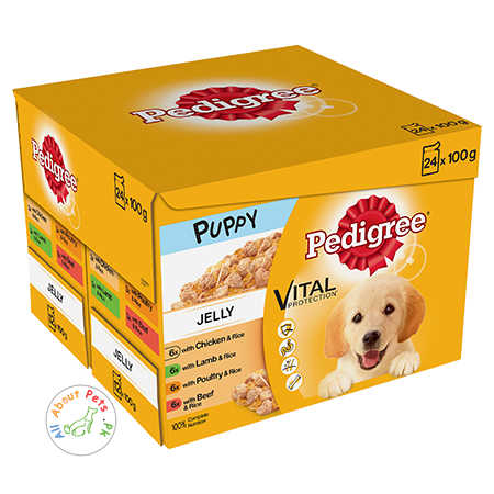 Pedigree Puppy wet Food Vital Protection Jelly 100g available at allaboutpet.pk in Pakistan