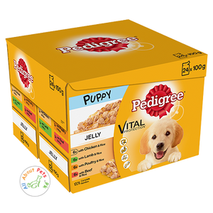 Pedigree Puppy wet Food Vital Protection Jelly 100g available at allaboutpet.pk in Pakistan