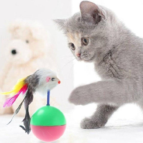 Cat Toy Tumbler Ball With feather Mouse available in pakistan at allaboutpets.pk