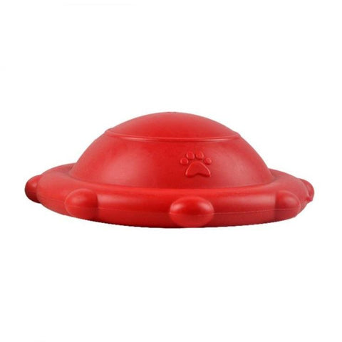 Dougez Dog Toy Floating Disc soft rubber available at allaboutpets.pk in Pakistan