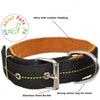 Ultra Soft Leather Padded Nylon Dog Collar available at allaboutpets.pk 