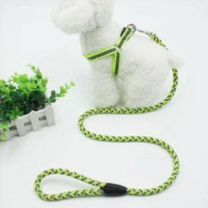 Reflective Harness & Lead For Dogs florescent green color available at allaboutpets.pk in pakistan.