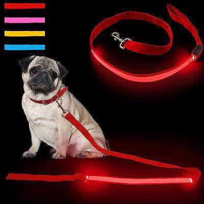 Image of Double Trouble Led Leash Red with led & reflective strip, Glow LED Flashing Light Leash Red Color available at allaboutpets.pk in pakistan