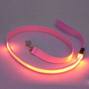 Glow LED Flashing Light Leash pink Color available at allaboutpets.pk in pakistan