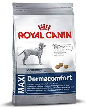Image of Royal Canin Maxi Dermacomfort Dry Dog Food 14 KG available at allaboutpets.pk in pakistan.
