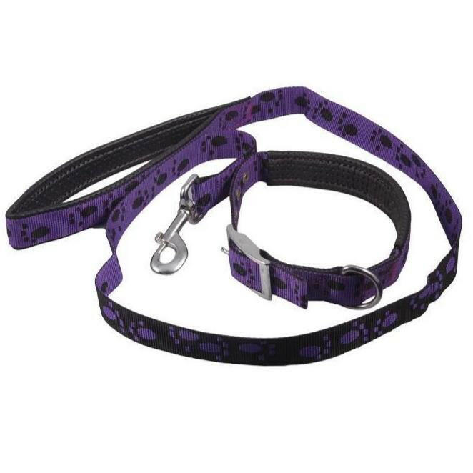 Smart Way Collar & Leash Paw Print yellow color available at allaboutpets.pk in pakistan.