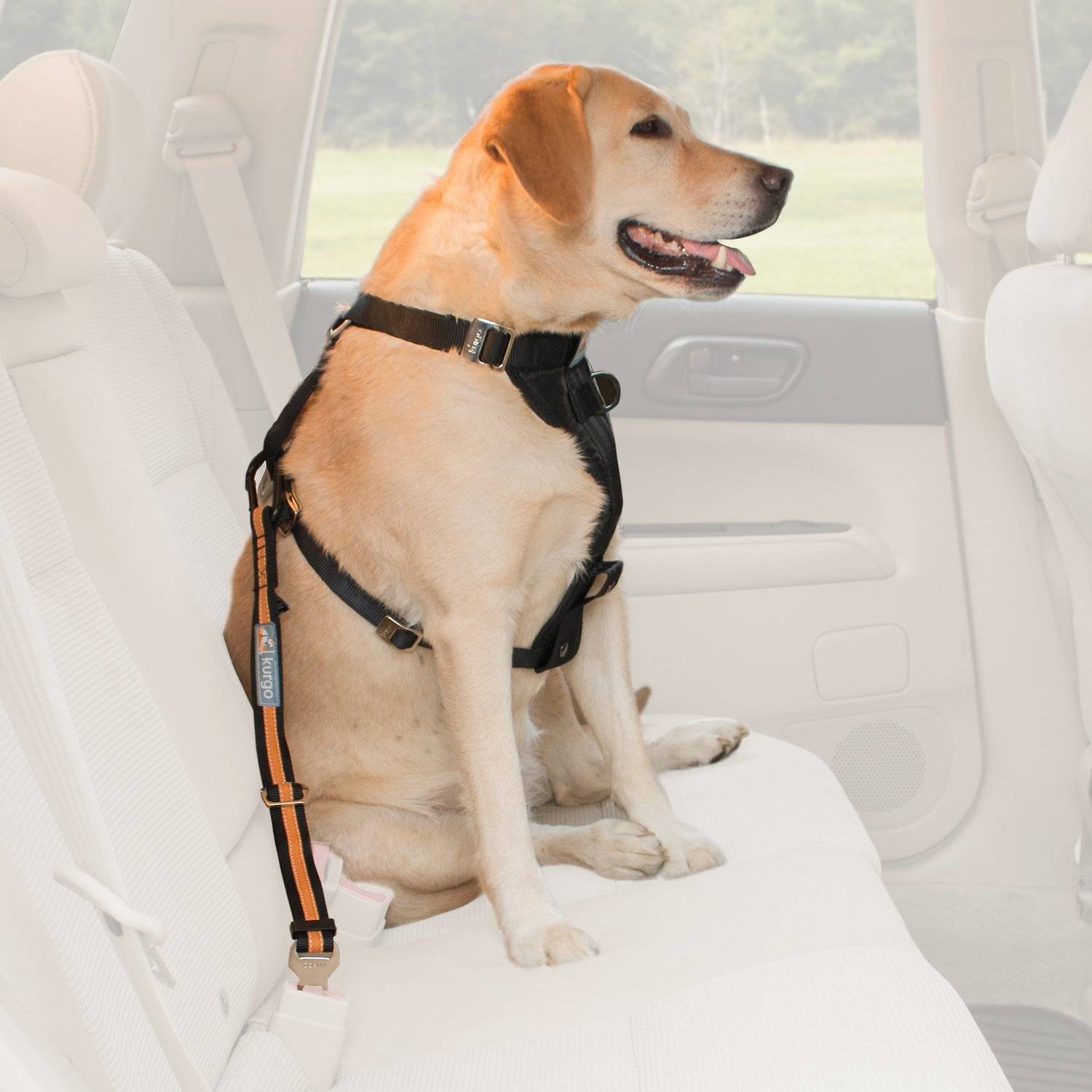 Dog Safety Belt Ferplast adjustable available at allaboutpets.pk in pakistan.