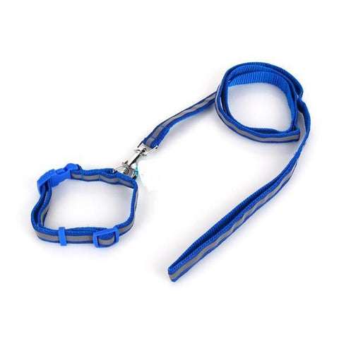 Image of Smart Way Collar & Leash Reflective Strip blue color available at allaboutpets.pk in pakistan.