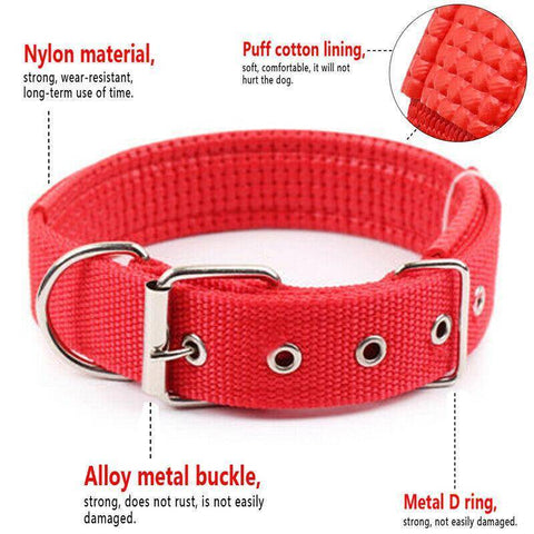 Image of Nylon Soft Liner Padded Dog Collar red color available at allaboutpets.pk in pakistan.