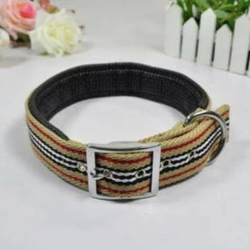 Smart way Padded Collar & leash Titan Flow available at allaboutpets.pk in pakistan.