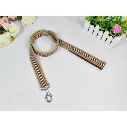 Smart way Padded Collar & leash Titan Flow available at allaboutpets.pk in pakistan.