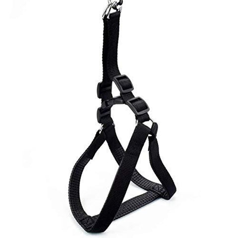 Image of nylon padded Dog Harness Vest Strap With Leash in black color available online in pakistan at allaboutpets.pk