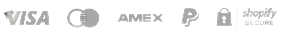 Footer Logo